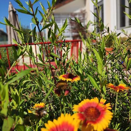 Campagn'Arts Bed & Breakfast Villechétif Eksteriør bilde